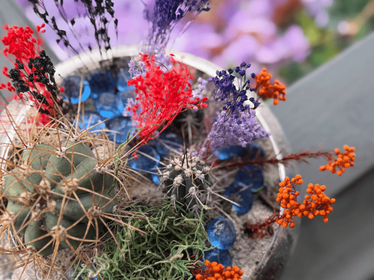 digital marketing edmonton